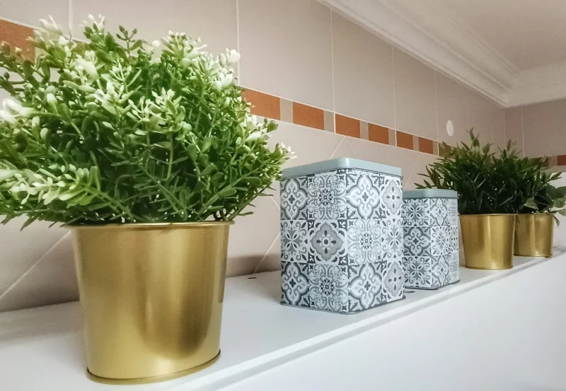 kitchen_herbs