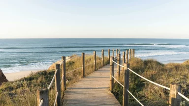 nazare_woodpathway